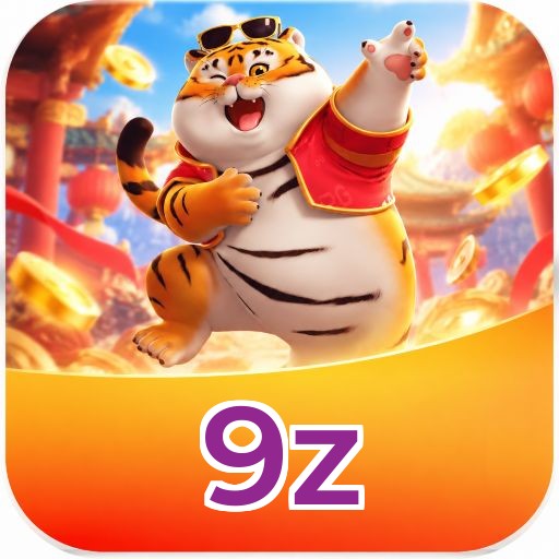 9z Login FAQ