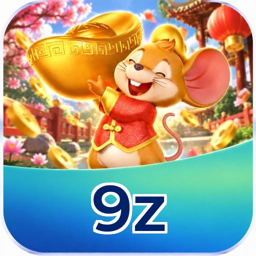 9z FAQ instalar app