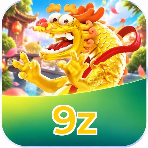 9z App vs Web